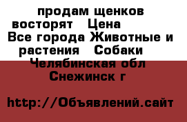 продам щенков восторят › Цена ­ 7 000 - Все города Животные и растения » Собаки   . Челябинская обл.,Снежинск г.